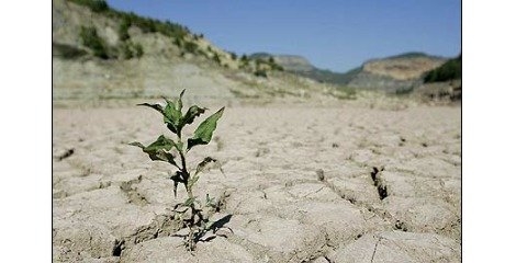 فرسایش شدید یک سوم خاک زمین
