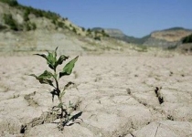 فرسایش شدید یک سوم خاک زمین