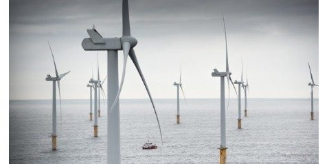 هلند/ اولین کشوری که بر مزایده های انرژی بادی مالیات تعیین نمی کند