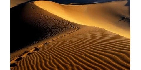 بزرگ‌تر شدن «صحرای آفریقا» 