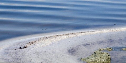 توسعه کشت گلخانه‌ای راهکاری برای برون‌رفت از بحران کم‌آبی دریاچه ارومیه