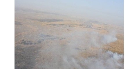 آتش‌ سوزی مجدد بخش عراقی تالاب هورالعظیم