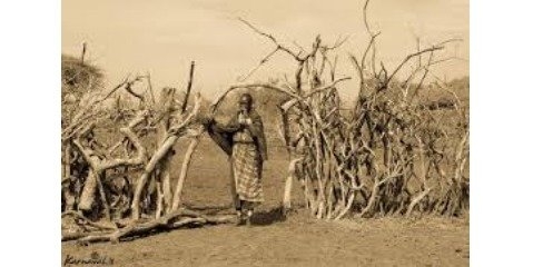 رابطه خشکسالی و  انقلاب جنسیتی در جامعه ماسایی کنیا 