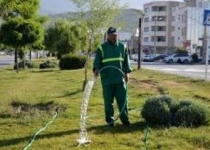 مصرف 190 میلیون متر مکعب آب در فضای سبز شهر تهران