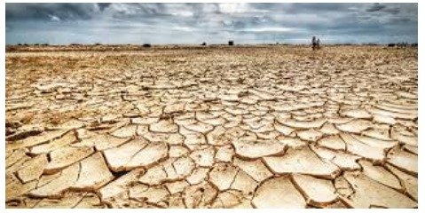 آلمانی‌ها و اروپایی‌ ها برای حل بحران خشکسالی چه می کنند 