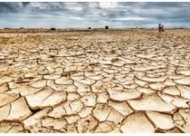 آلمانی‌ها و اروپایی‌ ها برای حل بحران خشکسالی چه می کنند 