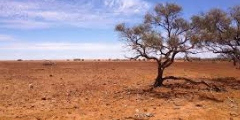 4 استان دچار خشکسالی است