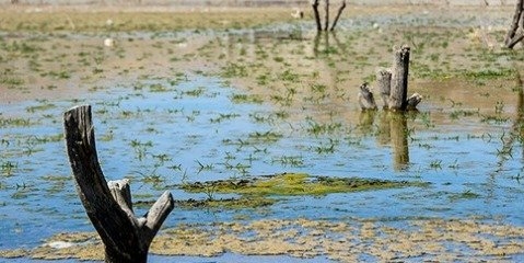 وضعیت قرمز منابع آبی تهران برای تابستان 