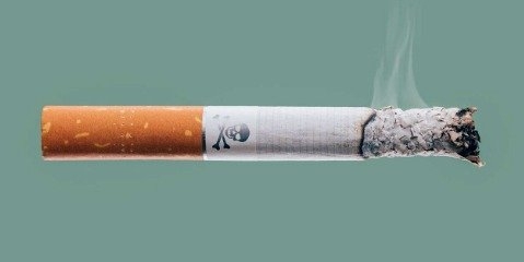  تهدیدهای سیگار برای محیط زیست چیست