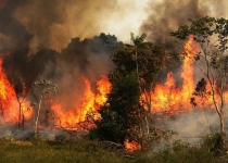 احتمال تغییرات آب‌وهوایی جهان در اثر آتش‌سوزی جنگل‌های آمازون