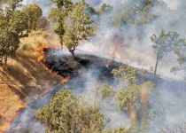 احتمال آتش سوزی در جنگل های مازندران