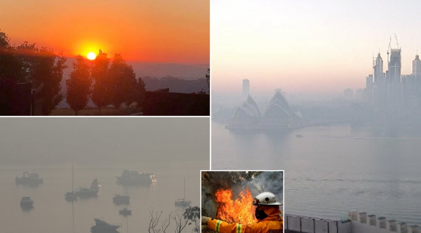 آلودگی سیدنی ۱۱ برابر سطح خطرناک