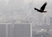 اسقاط ناوگان فرسوده راه حل بحران آلودگی هوا