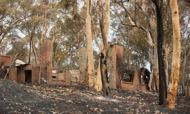 تجربیات یک دانشمند محیط زیست از آتش سوزی های استرالیا
