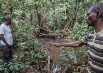 حفاری نفت در منطقه کنگو مقدار زیادی کربن منتشر می کند
