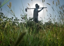 طراحی برنامه ای برای هشدار خشکسالی به کشاورزان در آفریقا