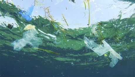 نابودی اکوسیستم های دریایی توسط زباله و فاضلاب