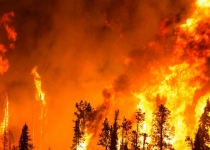 بازی های سیاسی دست پنهان آتش سوزی های جنگلی