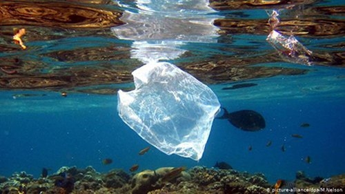 حقایقی تلخ درمورد سرنوشت کیسه های پلاستیکی