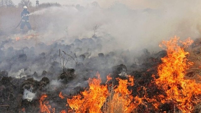 گرمای جهانی عامل گسترش آتش سوزی جنگلی در کالیفرنیا