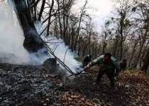 نامه سازمان جنگل‌ها به دادستان کشور برای تشدید برخورد با عاملان حریق‌های عمدی