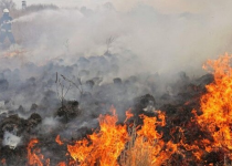 کاهش آتش‌سوزی در منابع طبیعی در مقایسه با مدت مشابه سال قبل