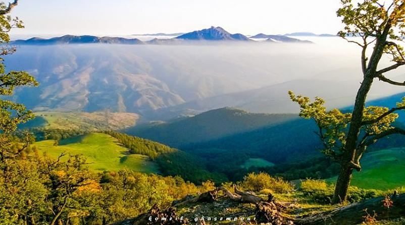 پوشش گیاهی پارک ملی کیاسر