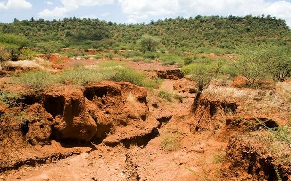 به خطر افتادن امنیت غذایی در نتیجه خاک آلوده