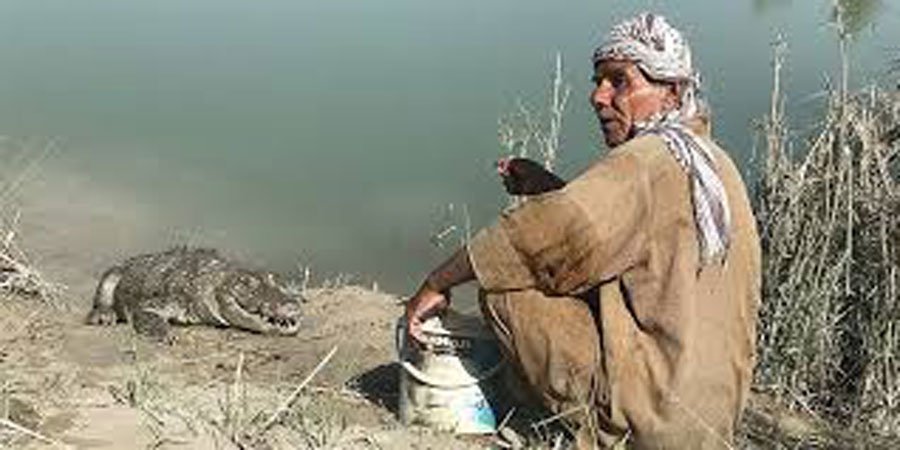 گاندو در این فصل تهاجمی می شود