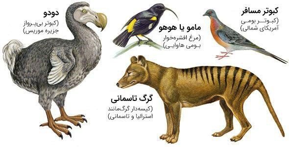 گونه های منقرض شده