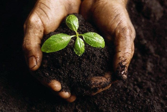   طرح جامع کاهش آلودگی خاک بزودی تصویب می‌شود