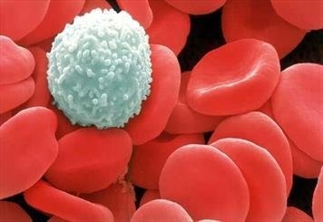 شناسایی اهداف دارویی جدید برای نابودی تومورهای سرطانی