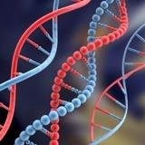 موفقیت محققان ایرانی در مدلسازی برهم‌کنش ‏DNA‏ با نانولوله‌ها 
