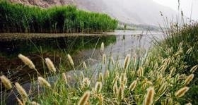 "‌شیرین‌سو" تالابی مصنوعی 
