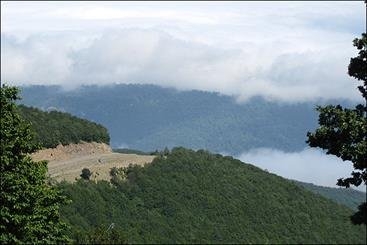 اگر مطالعات زیست محیطی اجازه داد مخالفتی با احداث جاده جنگل ابر نداریم
