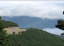 اگر مطالعات زیست محیطی اجازه داد مخالفتی با احداث جاده جنگل ابر نداریم