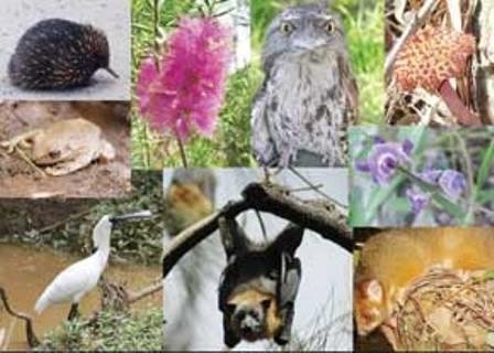 پنجمین گزارش ایران به کنوانسیون تنوع زیستی تا آذر ماه ارایه می شود