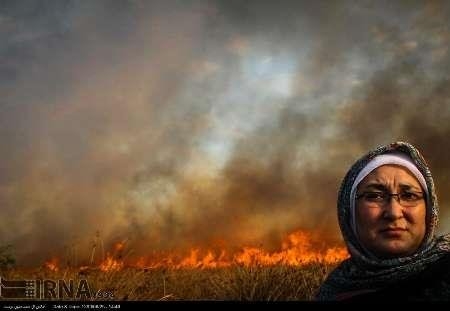 پشت پرده آتش سوزی تنها جزیره ایرانی خزر