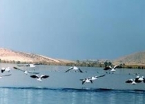 چاههای غیرمجاز اطراف تالاب بین المللی پریشان پلمپ شد
