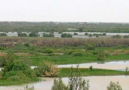 تالاب هامون در یونسکو به عنوان ذخیره گاه زیست کره مرزی ثبت شد