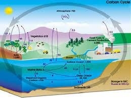 گازهای گلخانه‌ای ناشی‌ از فعالیتهای انسانی‌ مهمترین عامل تغییرات آب و هوایی