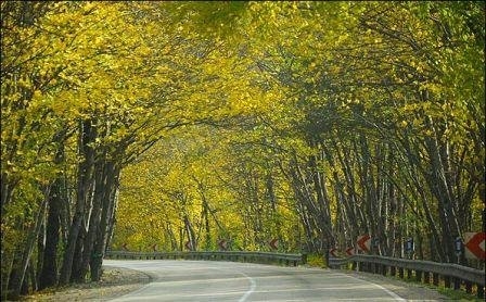 مسکوت ماندن پروژه جایگزین جاده گلستان به صورت موقت