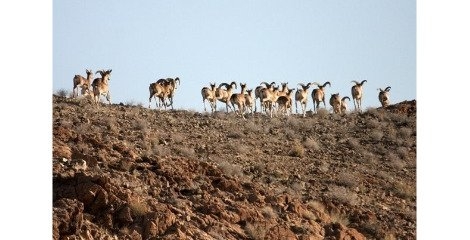 ورود گردشگران به پارک ملی "خبر" مجاز شد