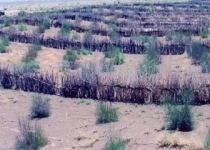 اعتبار بیابان زدایی خوزستان را تا ریال آخر تامین می کنیم
