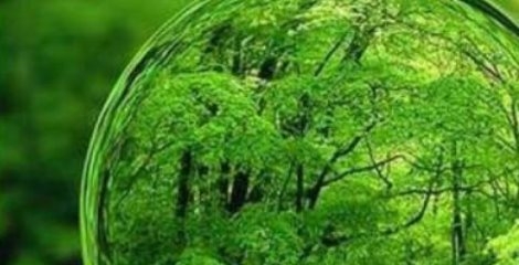 هنر می تواند جامعه را درقبال محیط زیست حساس و مسئول کند هنر می تواند جامعه را درقبال محیط زیست حساس و مسئول کند