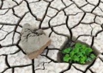 تاثیر تغییرات اقلیمی برگشت‌ناپذیر است