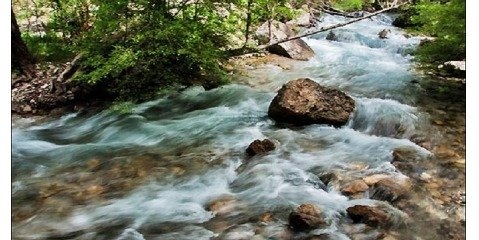 نقش حیاتی رودخانه ها در اکوسیستم