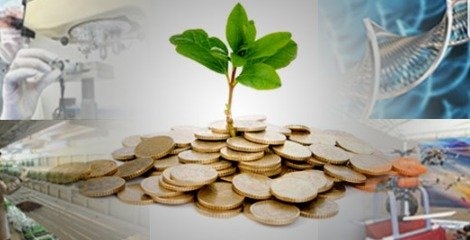 همکاری های بین المللی زمینه ساز رشد محصولات دانش بنیان 