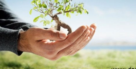 برقی شدن مسیرهای ریلی راهی به سوی اقتصاد سبز برقی شدن مسیرهای ریلی راهی به سوی اقتصاد سبز