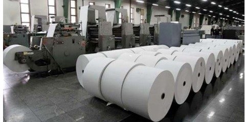 فرآیند تولید کاغذ از درخت | مراحل تولید کاغذ 
